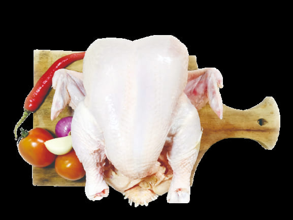 Kulit ayam segar CV. Sari Wening — berkualitas tinggi untuk kerupuk kulit dan topping